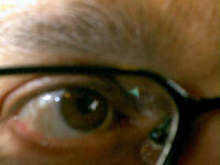 04_MauriceEye.jpg