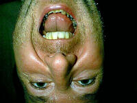 15_UrsUpsideDown.jpg