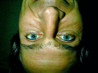 19_WernerUpsideDown.jpg